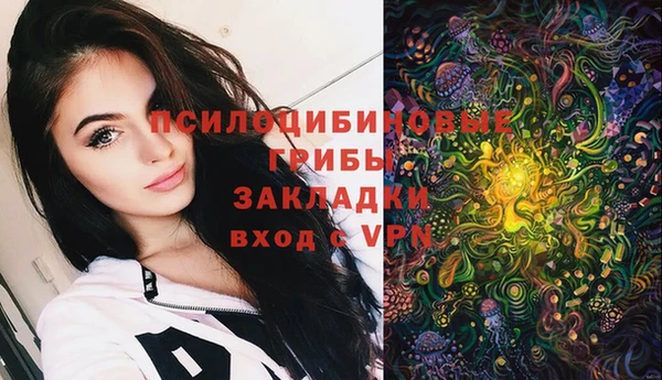 spice Абинск